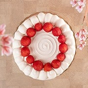 BOLO G - ICHIGO SHORTCAKE